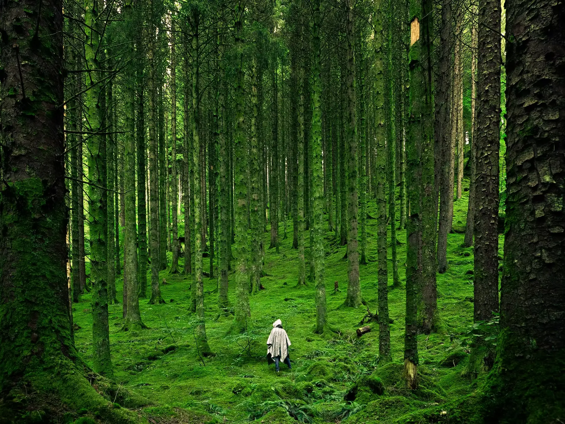 The Connection Between Anxiety and Trauma: Understanding and Addressing the Impact